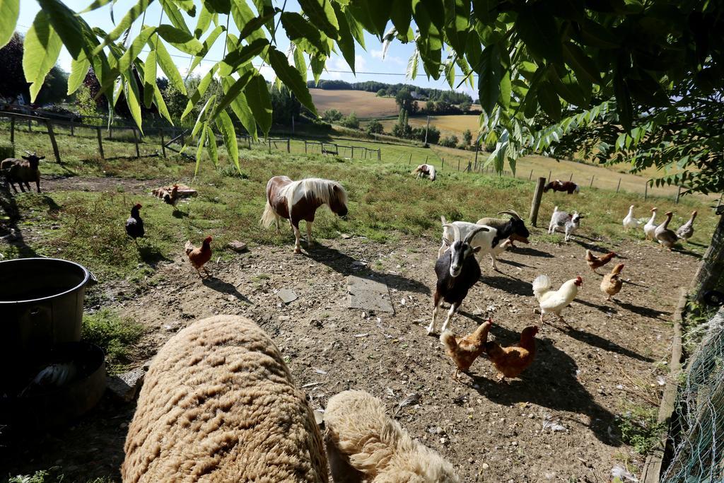 La Ferme Couderc Castelnaud-de-Gratecambe Exterior foto