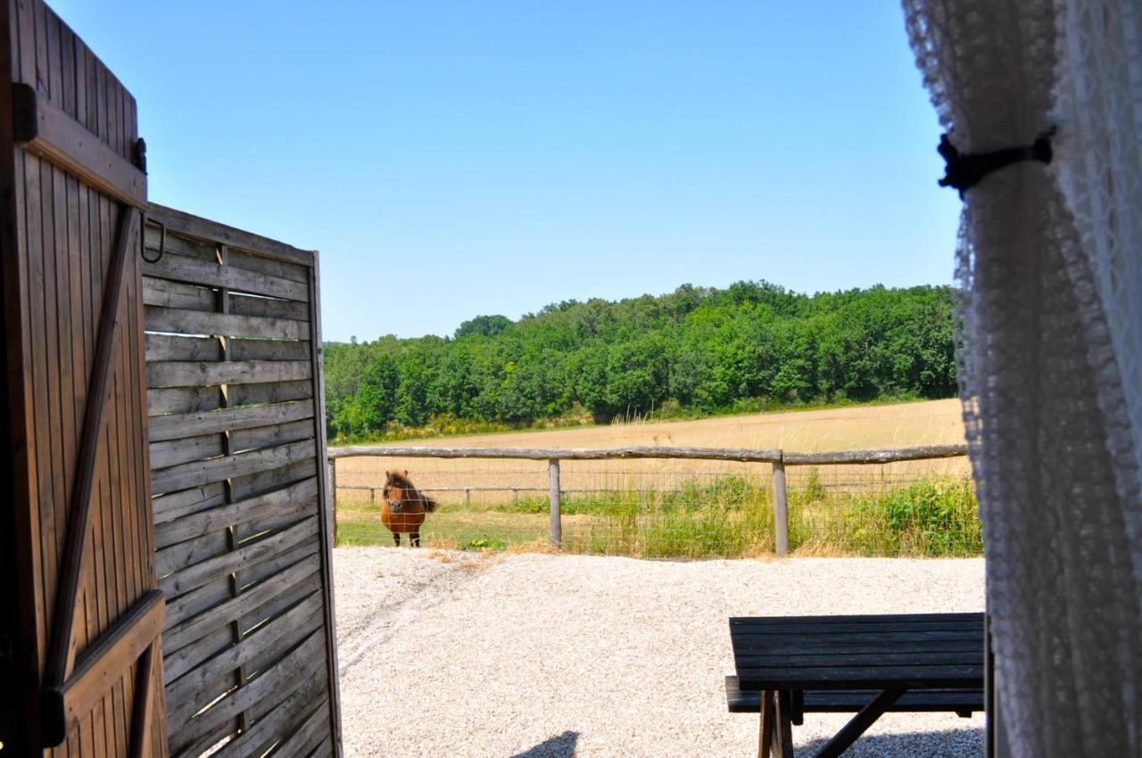 La Ferme Couderc Castelnaud-de-Gratecambe Exterior foto